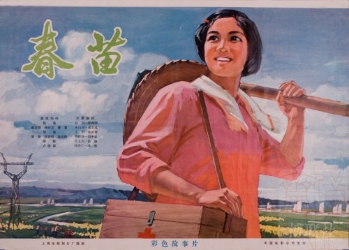 西来大学硕士成绩单